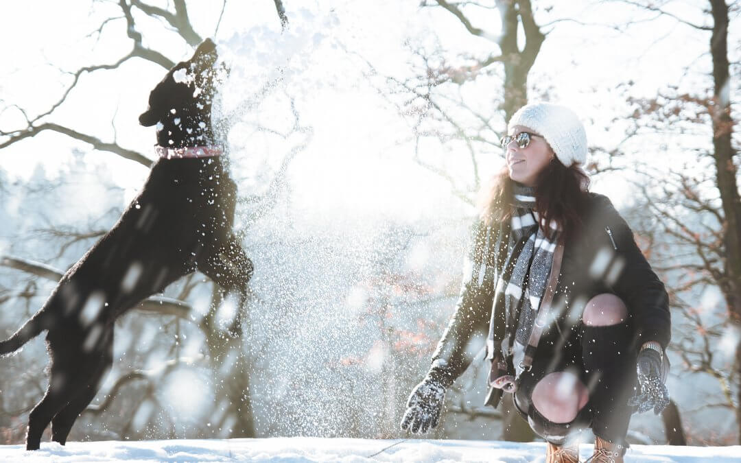 Wintersport met hond – Checklist