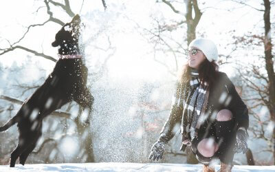 Wintersport met hond – Checklist
