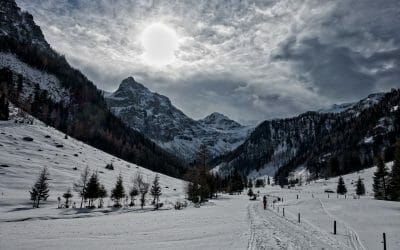 Wintersport in Ski amadé