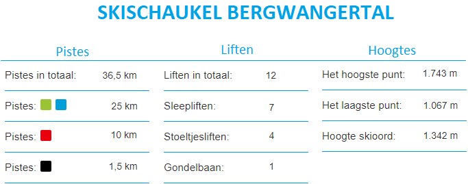 Informatie Skigebied Bergwang